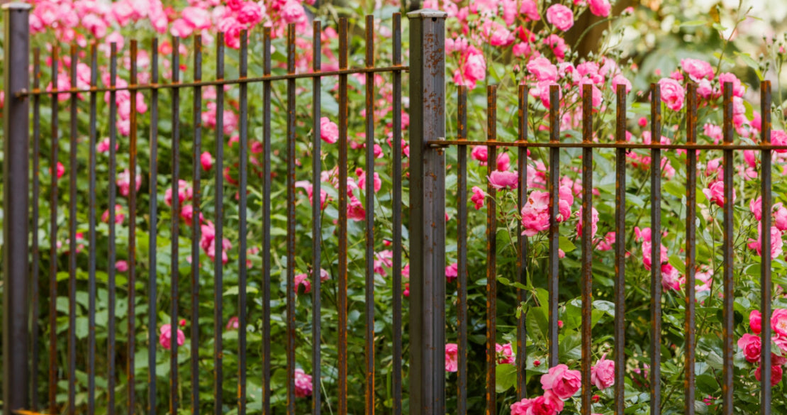 Rinverdisci la recinzione del giardino